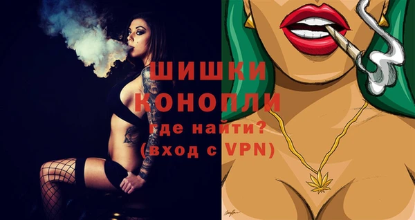 ECSTASY Ельня