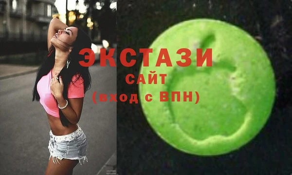 ECSTASY Ельня