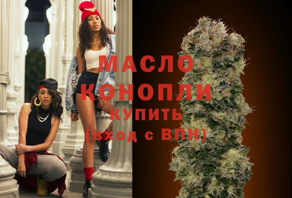 ECSTASY Ельня