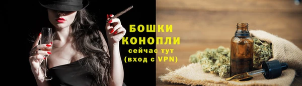 МДПВ Дмитров
