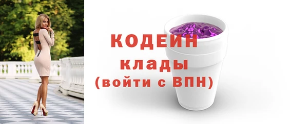 ECSTASY Ельня