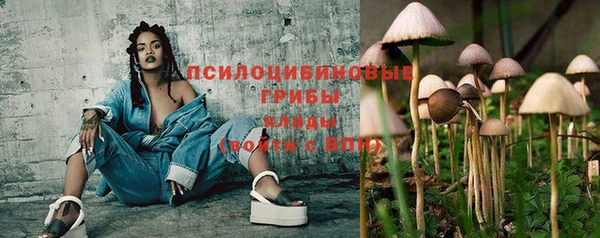 ECSTASY Ельня