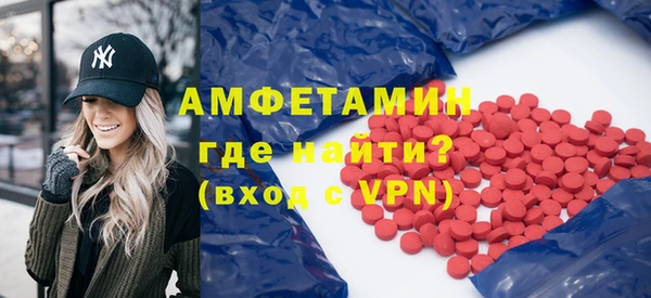ECSTASY Ельня