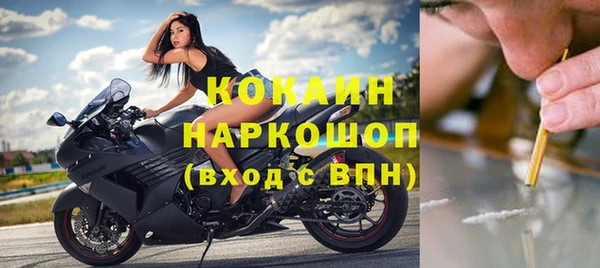 ECSTASY Ельня