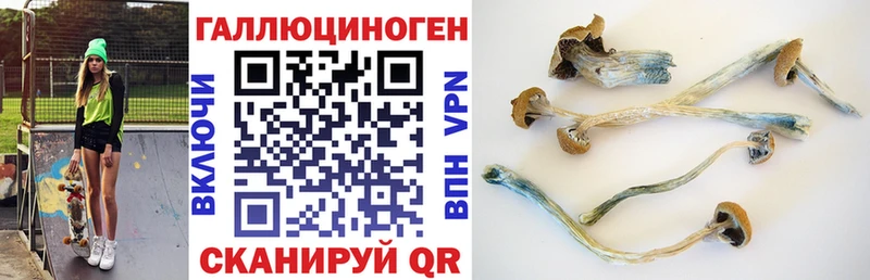 Псилоцибиновые грибы мухоморы  Купить где  Кашира 